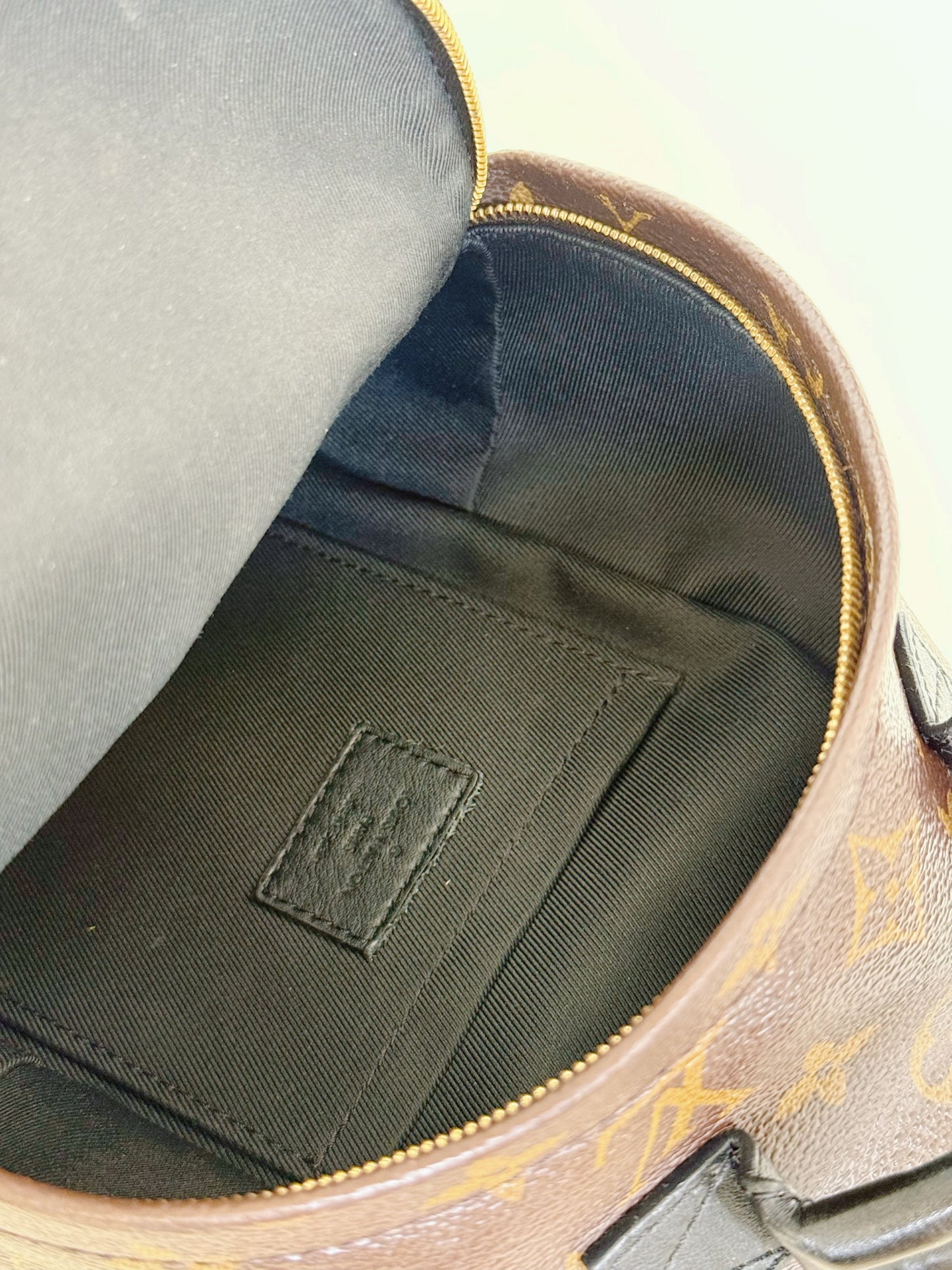 Louis Vuitton Monogram Palm Springs Backpack Mini