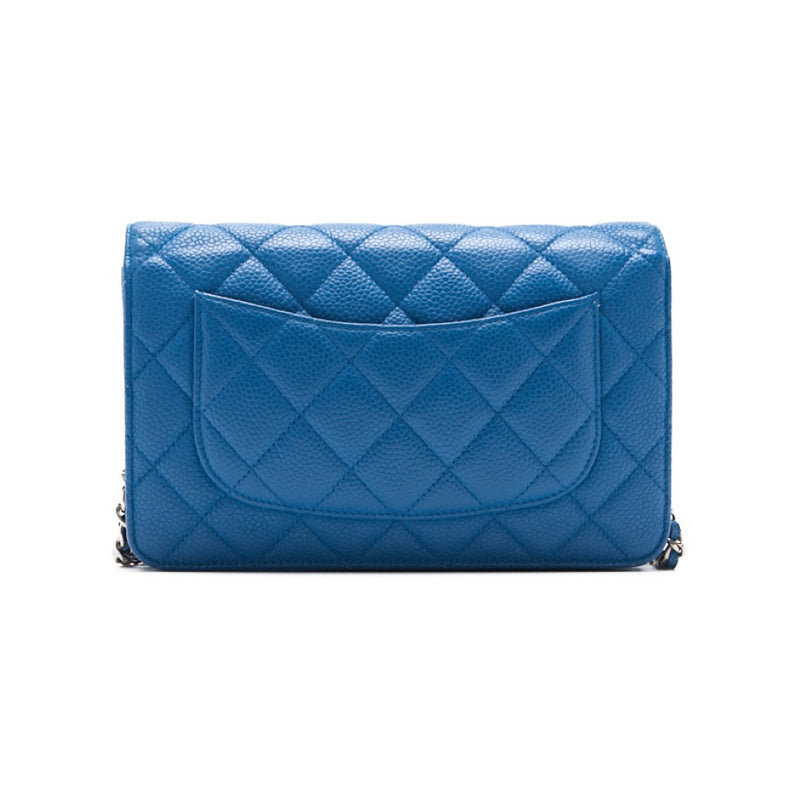 Chanel Handbag - Ewore Bags