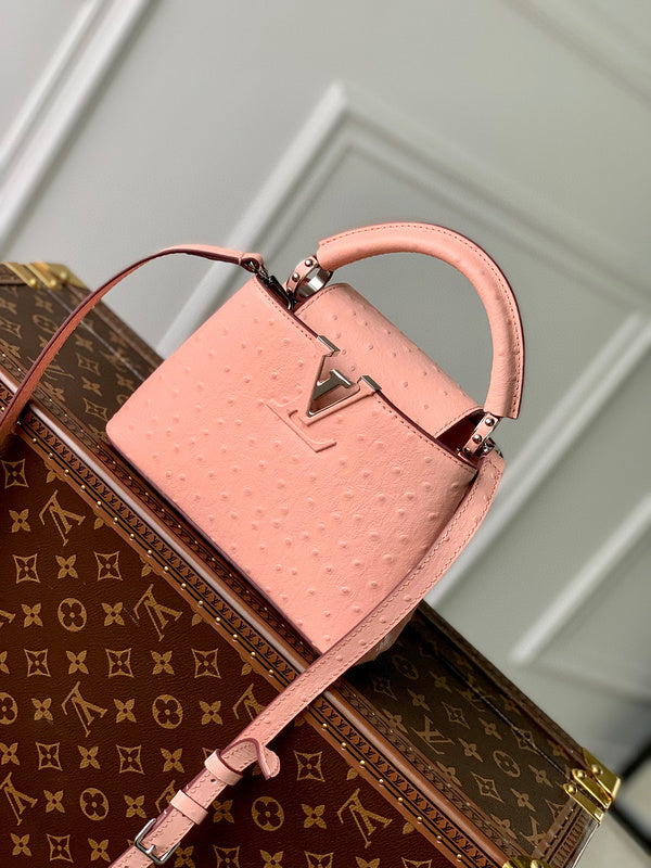 Louis Vuitton Bags