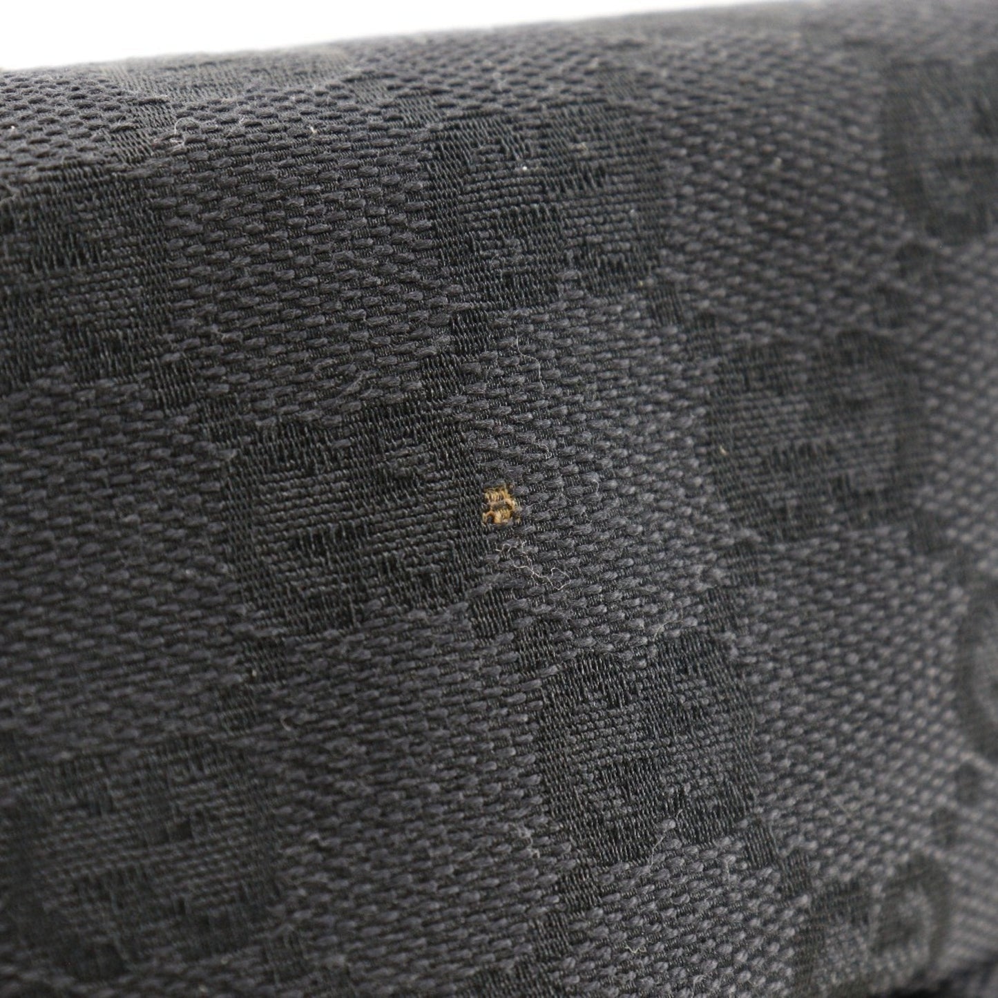 Gucci GG canvas
