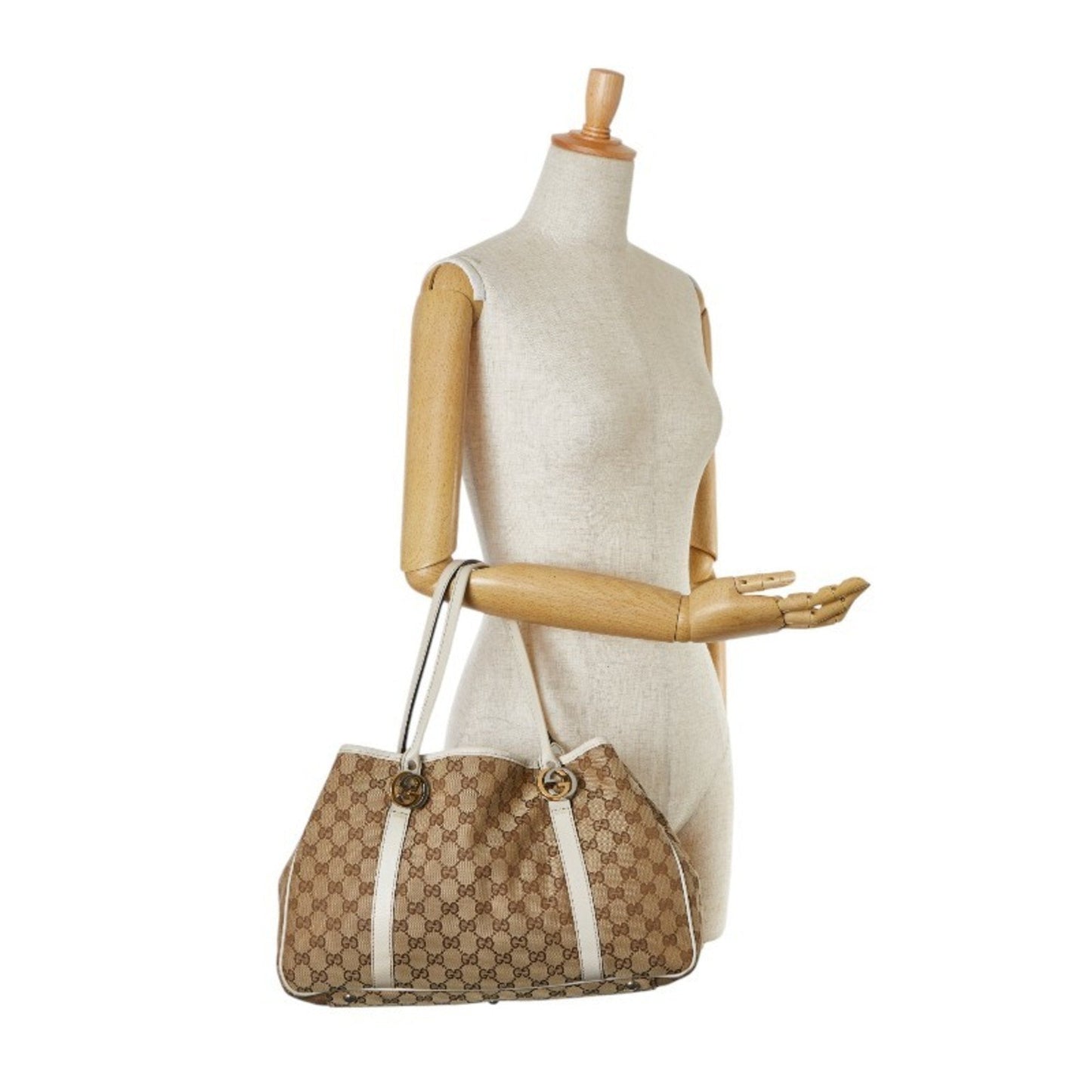 Gucci GG canvas