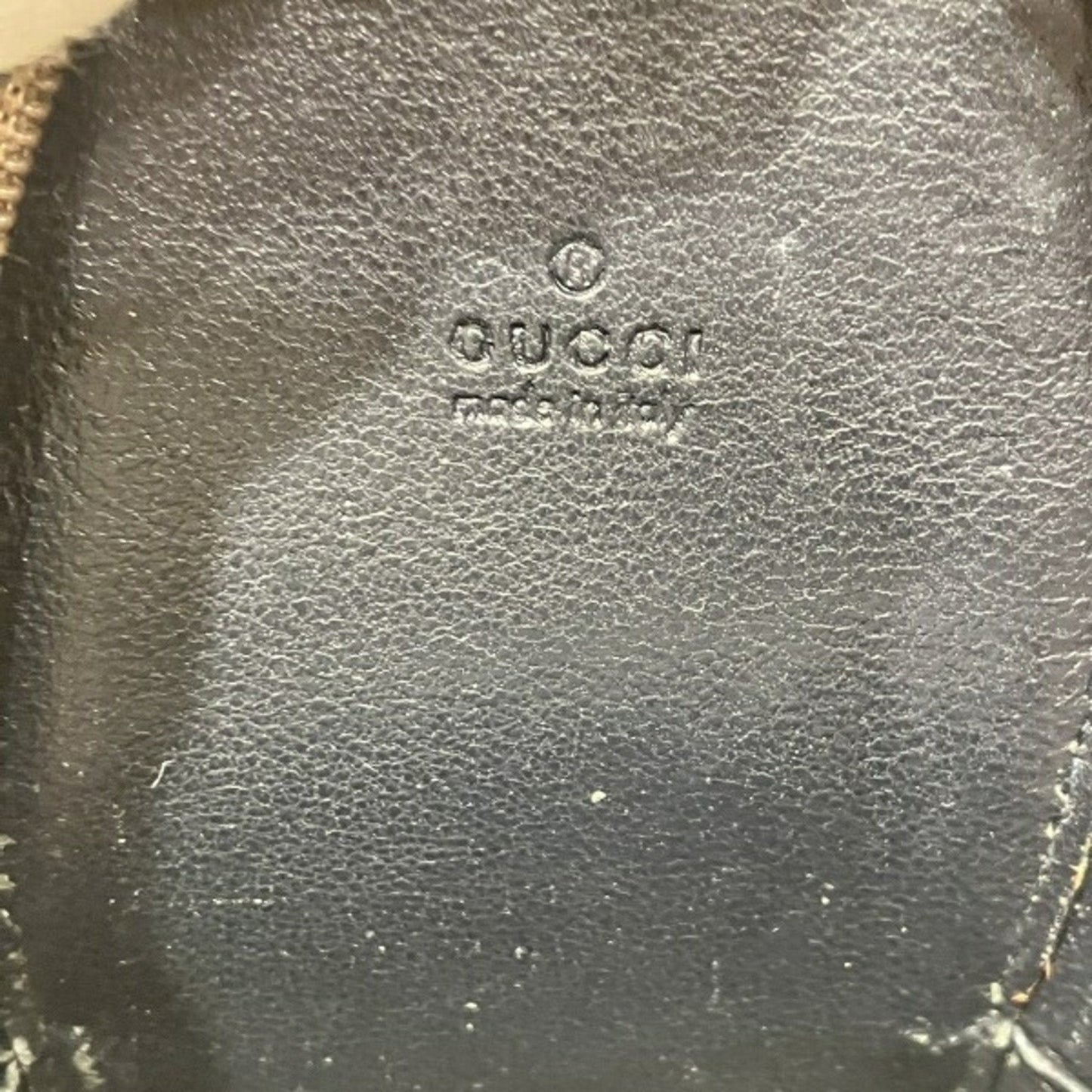 Gucci GG canvas