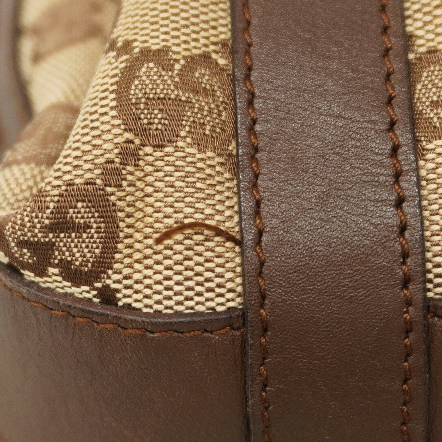 Gucci GG canvas