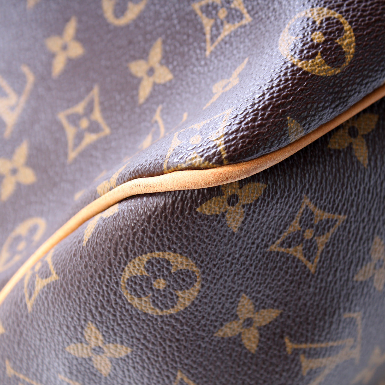 Louis Vuitton Delightful PM Monogram