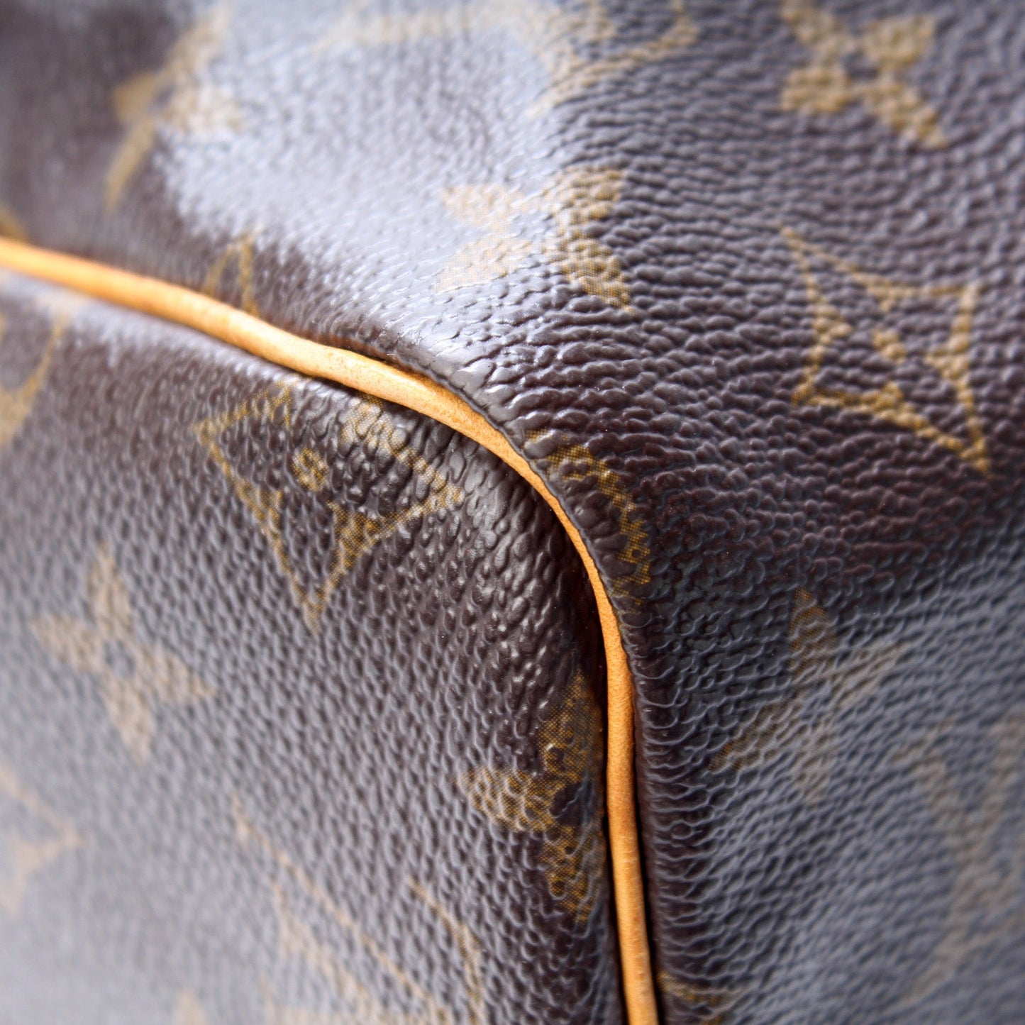 Louis Vuitton Speedy 30 Monogram