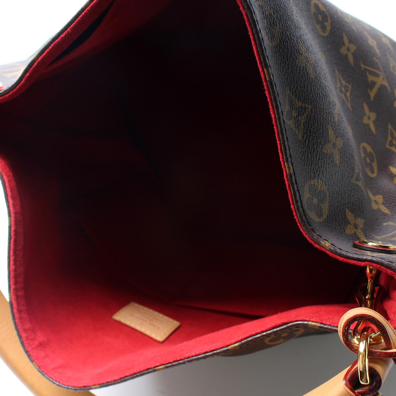 Louis Vuitton Gaia Monogram