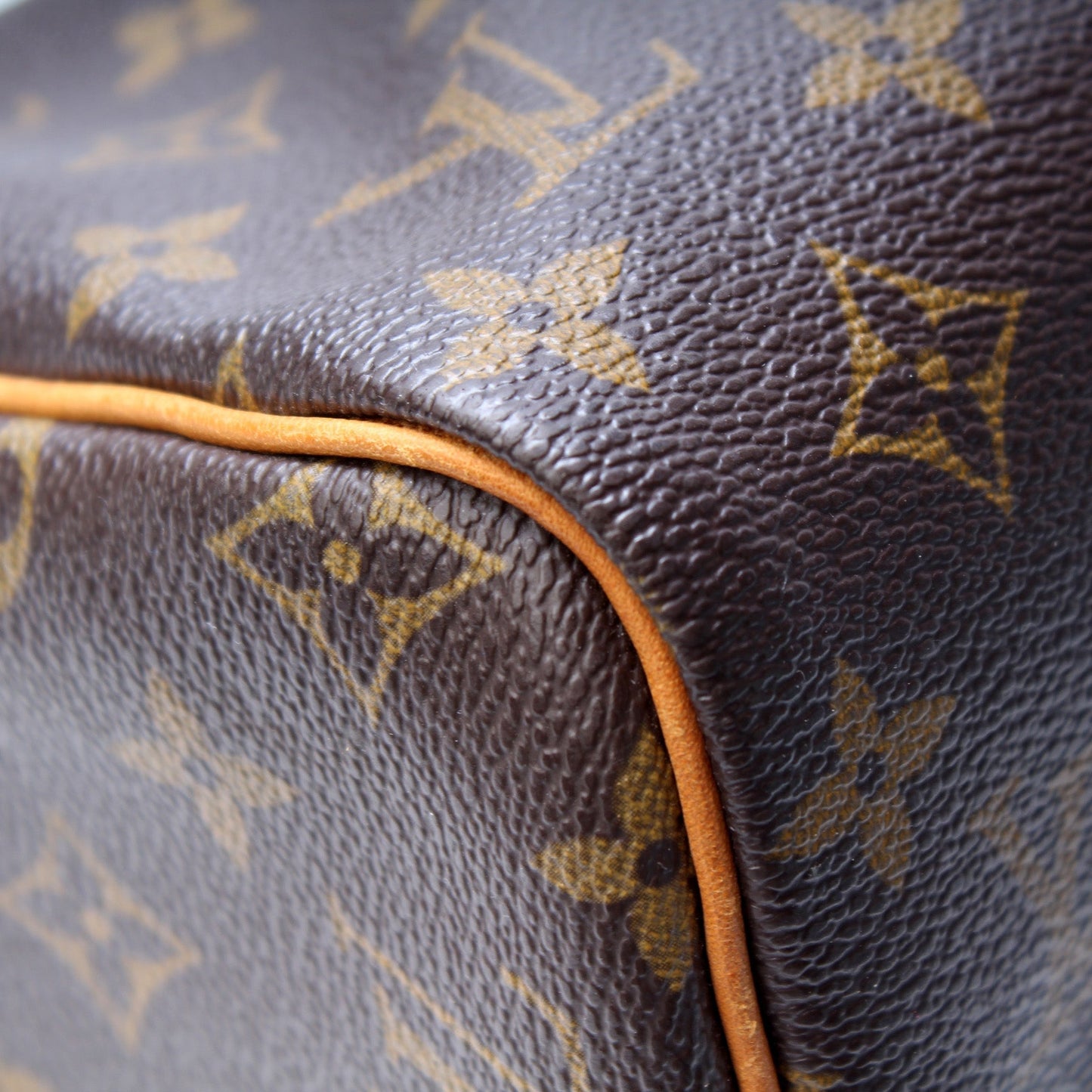 Louis Vuitton Speedy 30 Monogram
