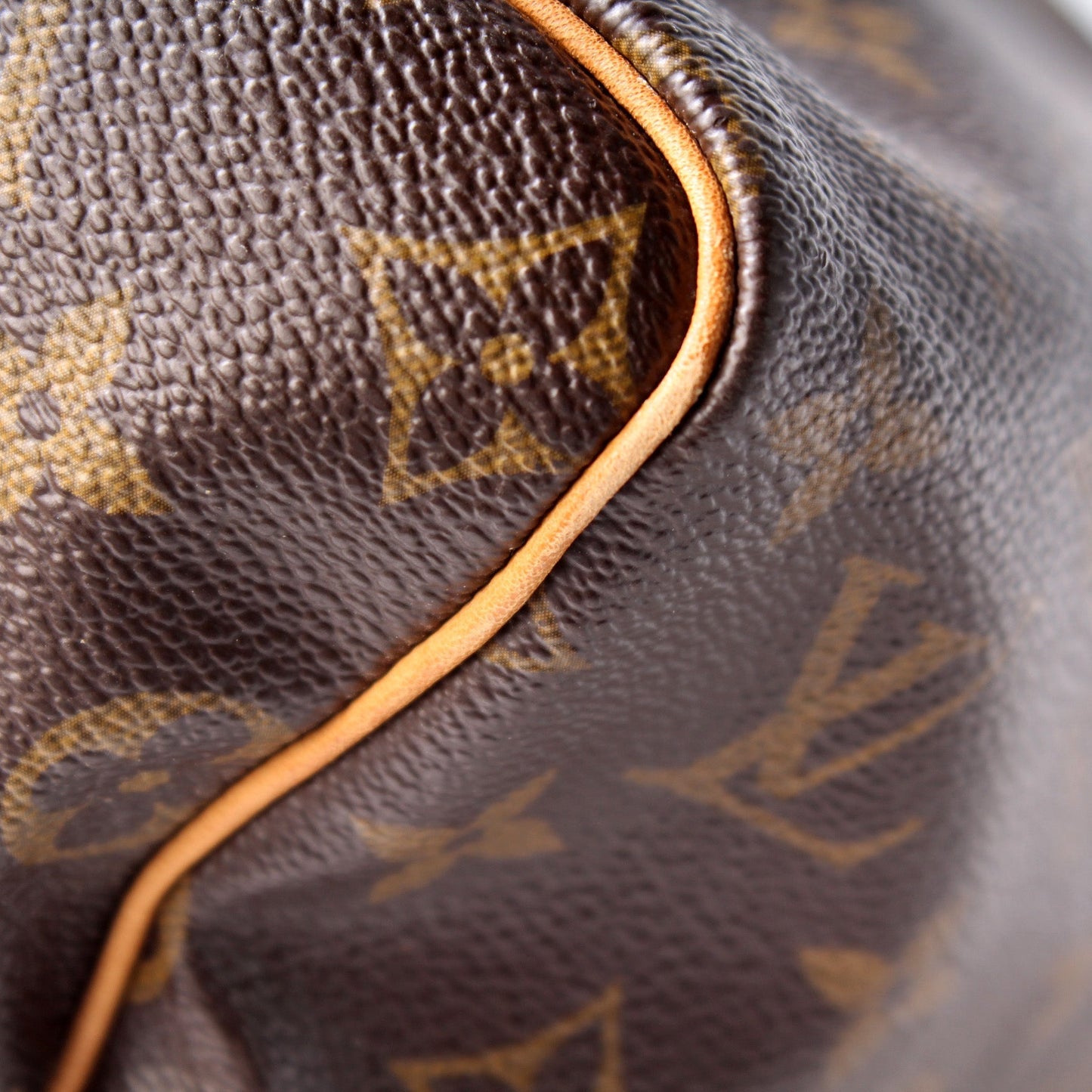 Louis Vuitton Speedy 30 Monogram