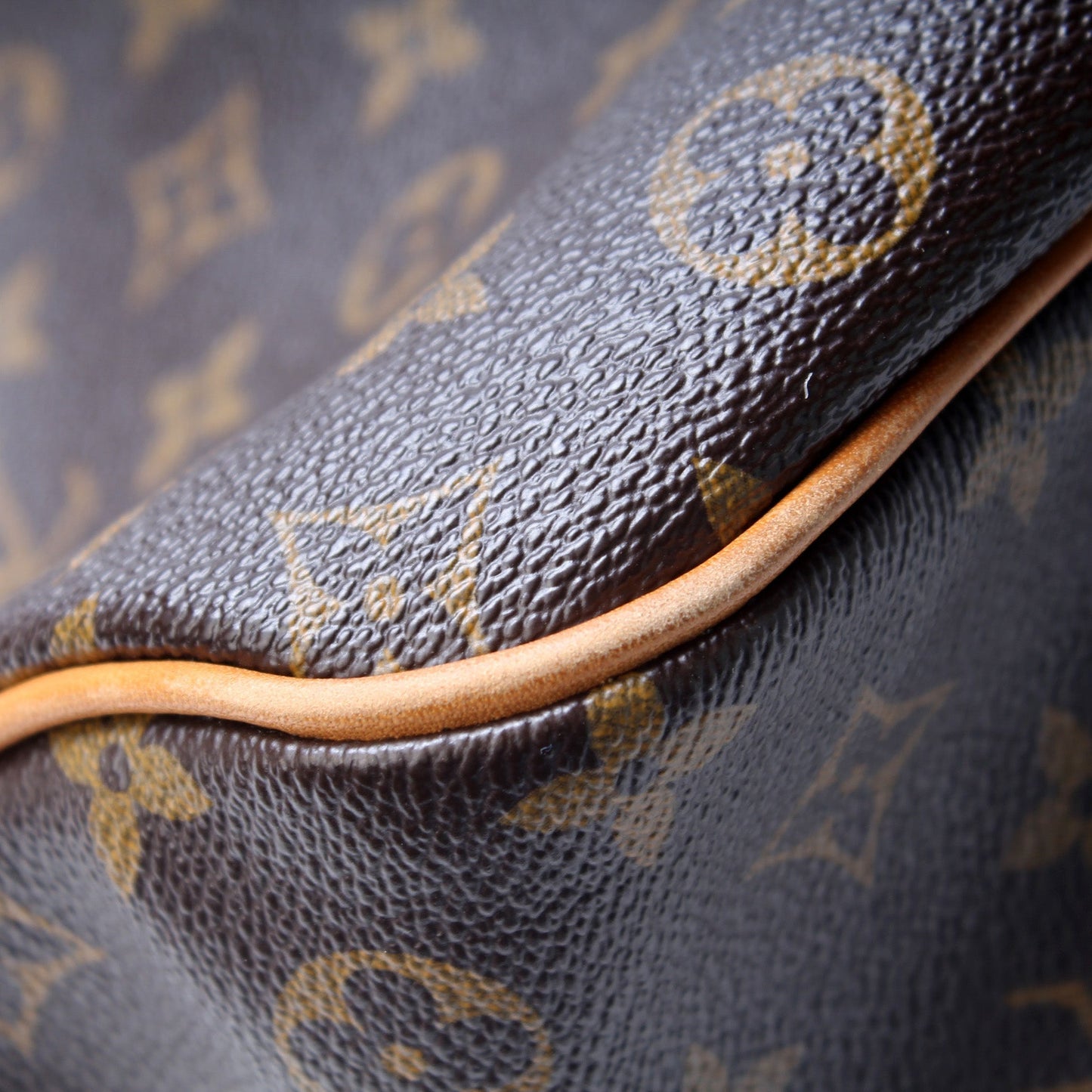 Louis Vuitton Delightful PM Monogram