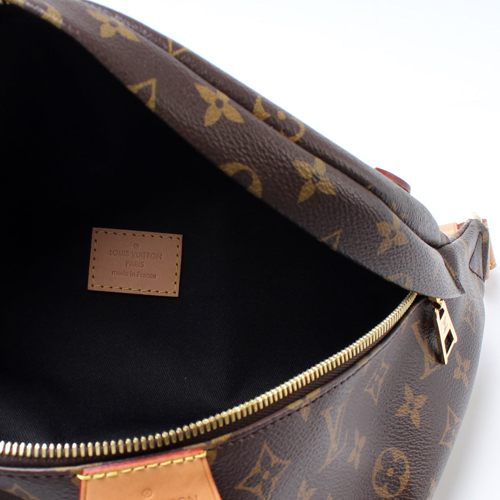 Louis Vuitton Bumbag Monogram