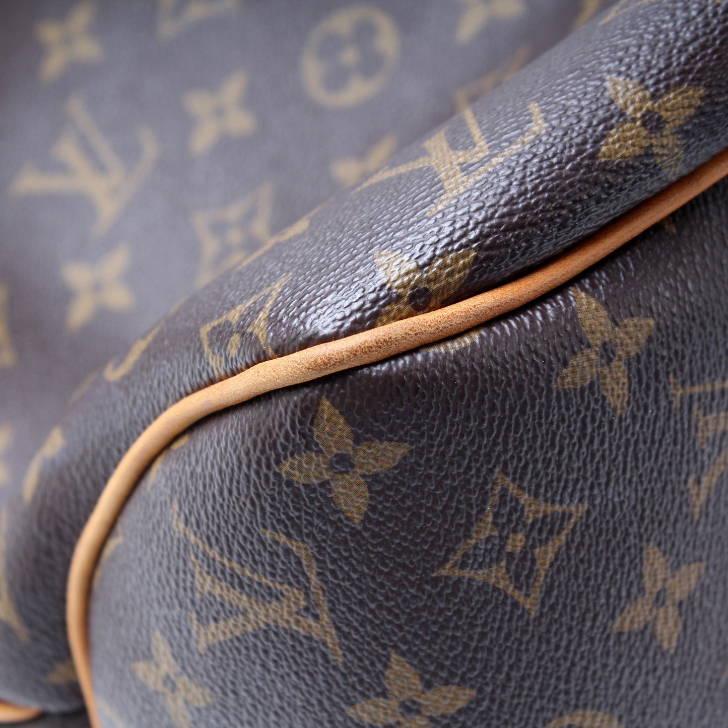 Louis Vuitton Delightful MM Monogram