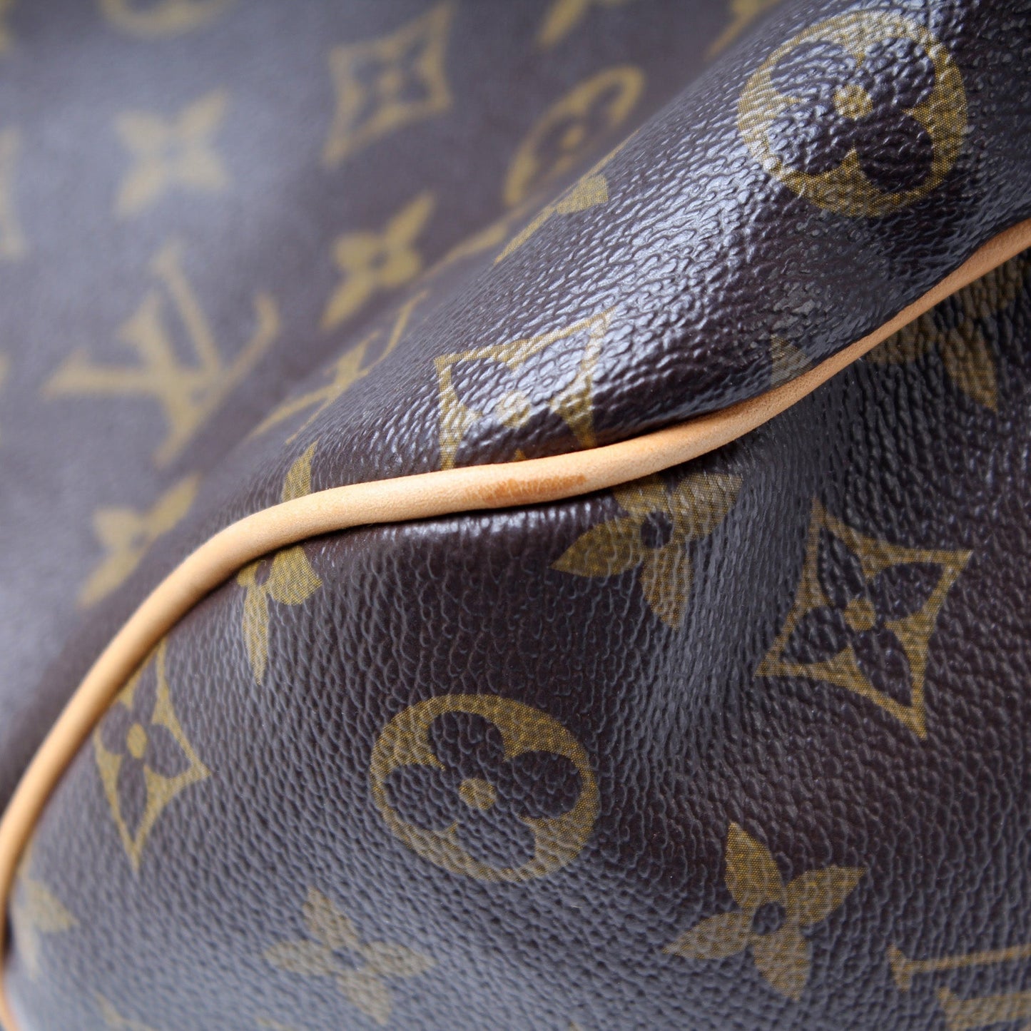 Louis Vuitton Delightful PM Monogram
