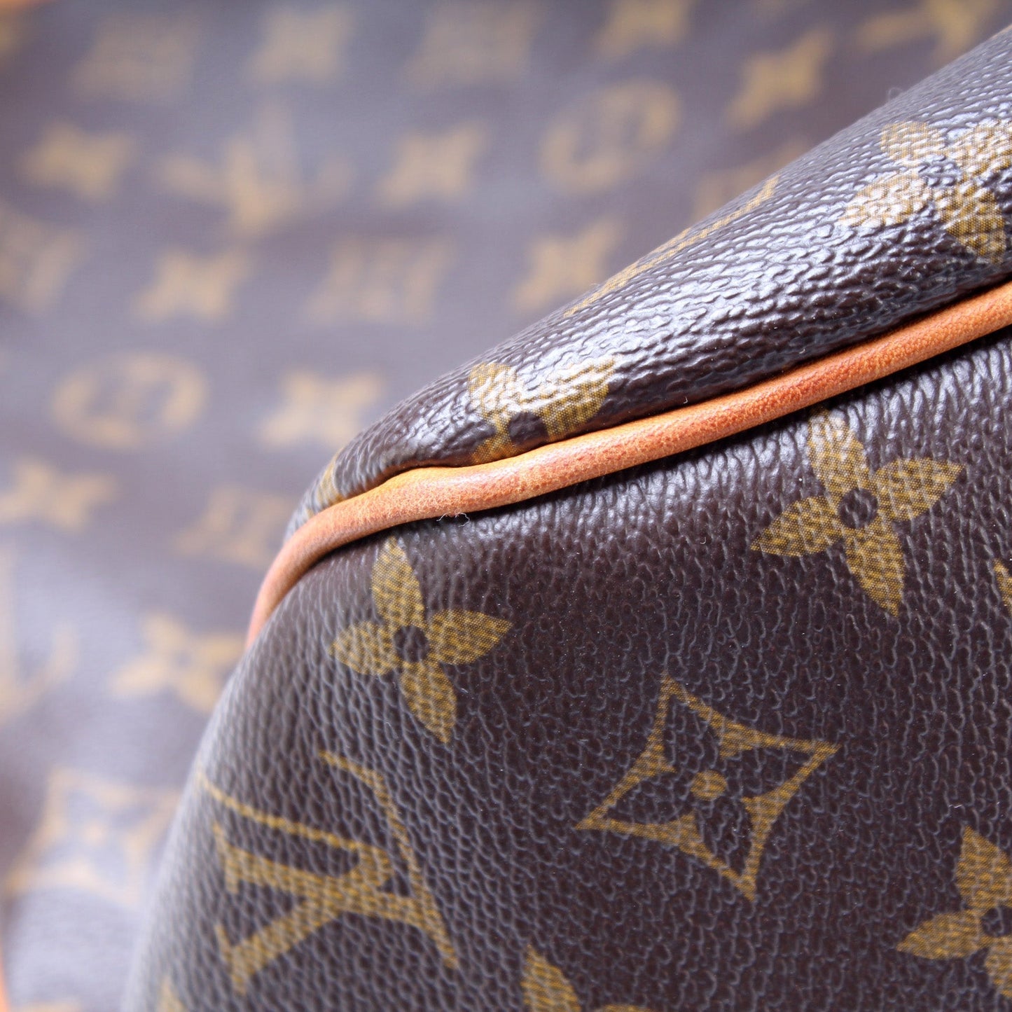 Louis Vuitton Delightful MM Monogram