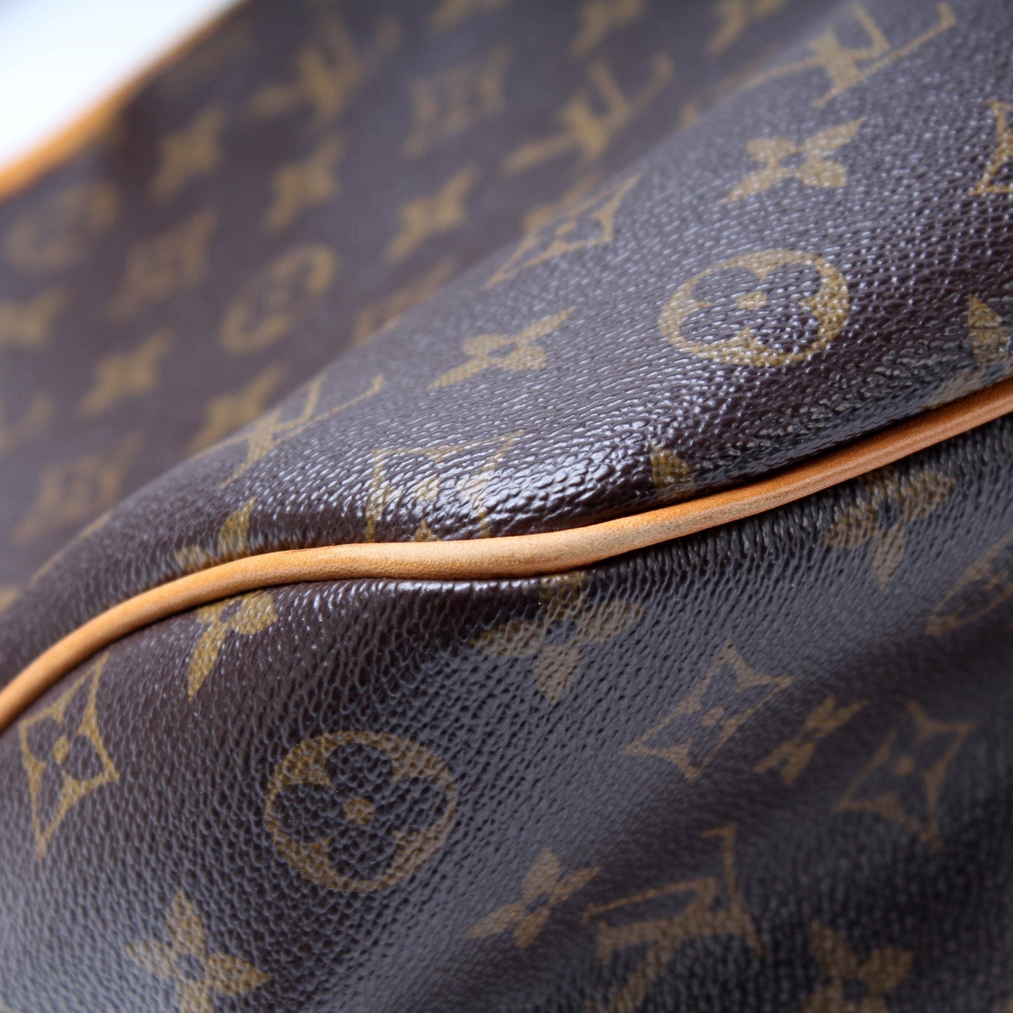 Louis Vuitton Delightful PM Monogram