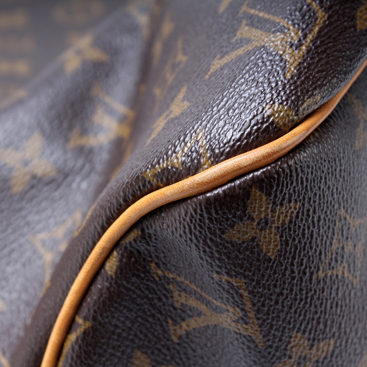 Louis Vuitton Delightful MM Monogram