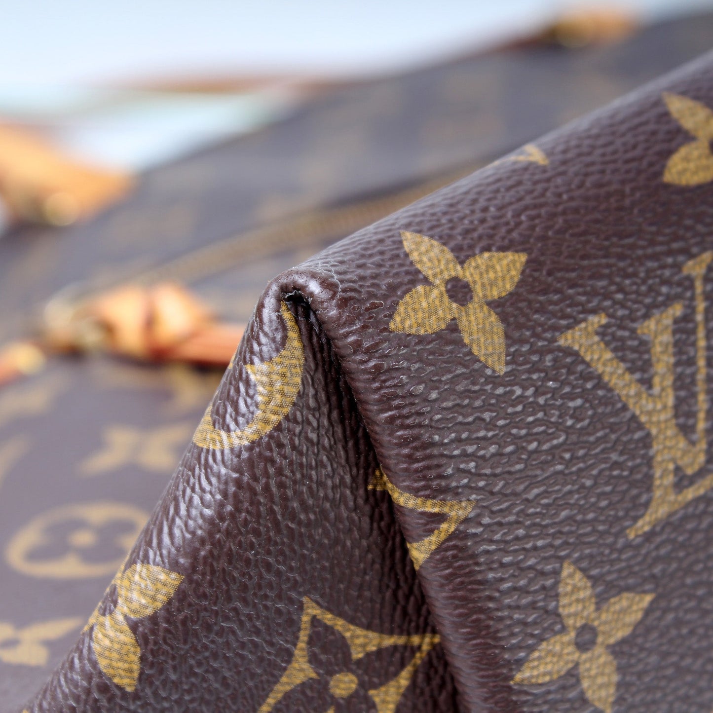 Louis Vuitton Iena MM Monogram