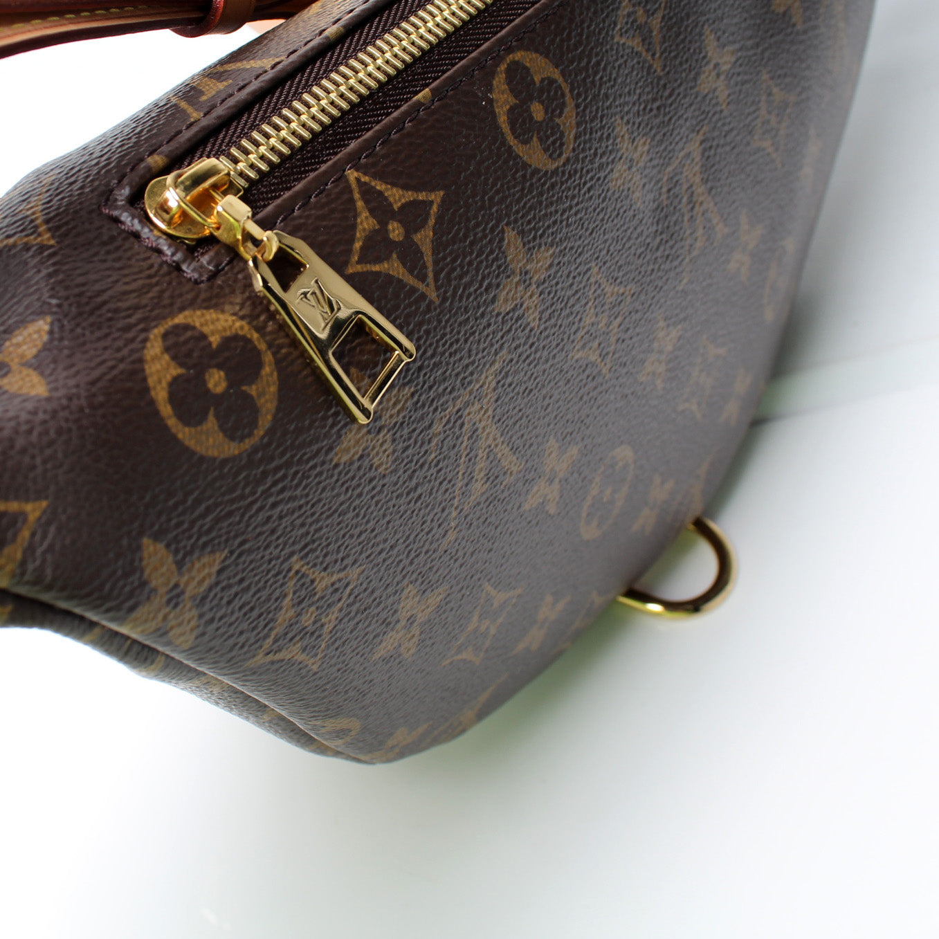 Louis Vuitton Bumbag Monogram