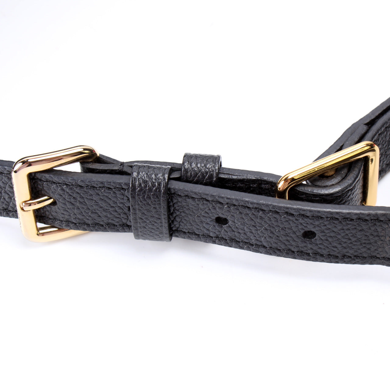 Louis Vuitton Bumbag Empreinte