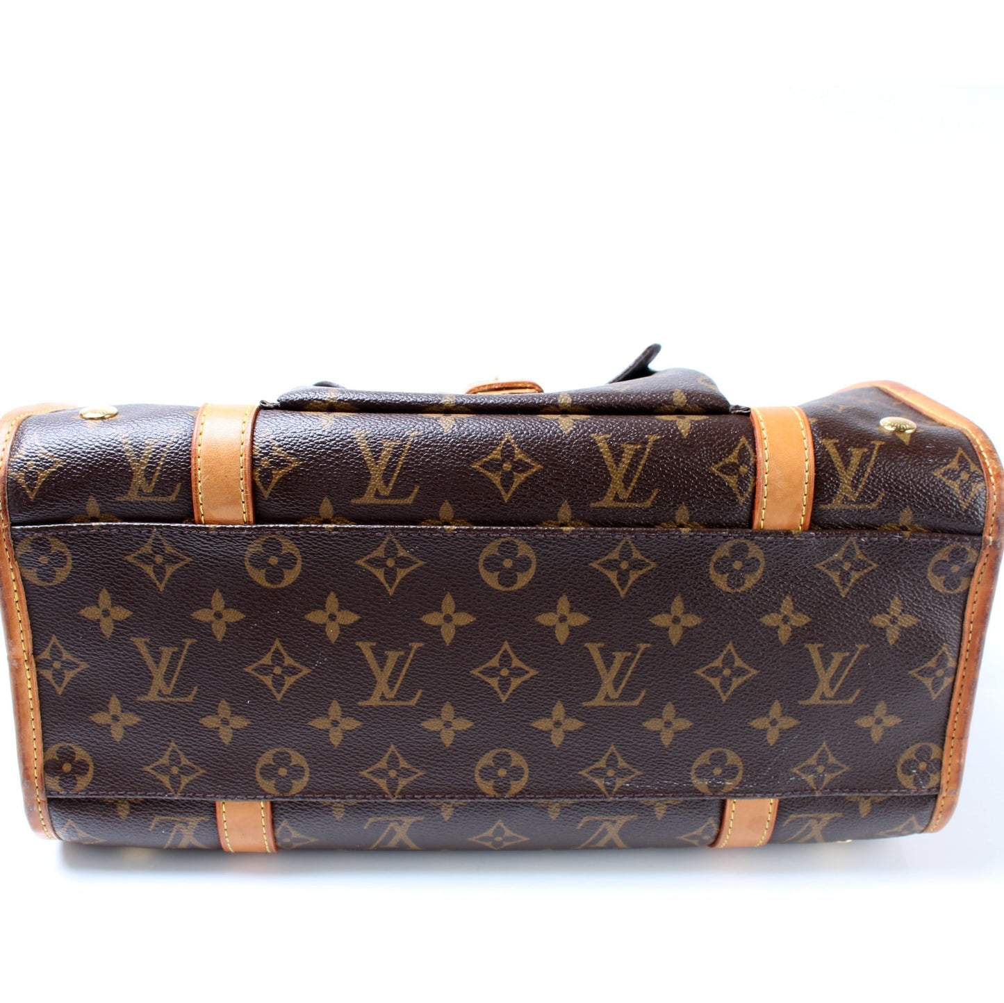 Louis Vuitton Sac Baxter Pet Carrier PM Monogram