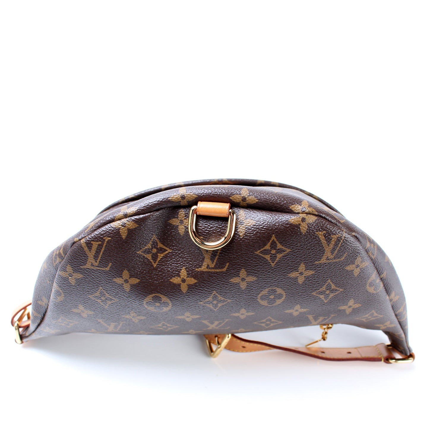 Louis Vuitton Bumbag Monogram
