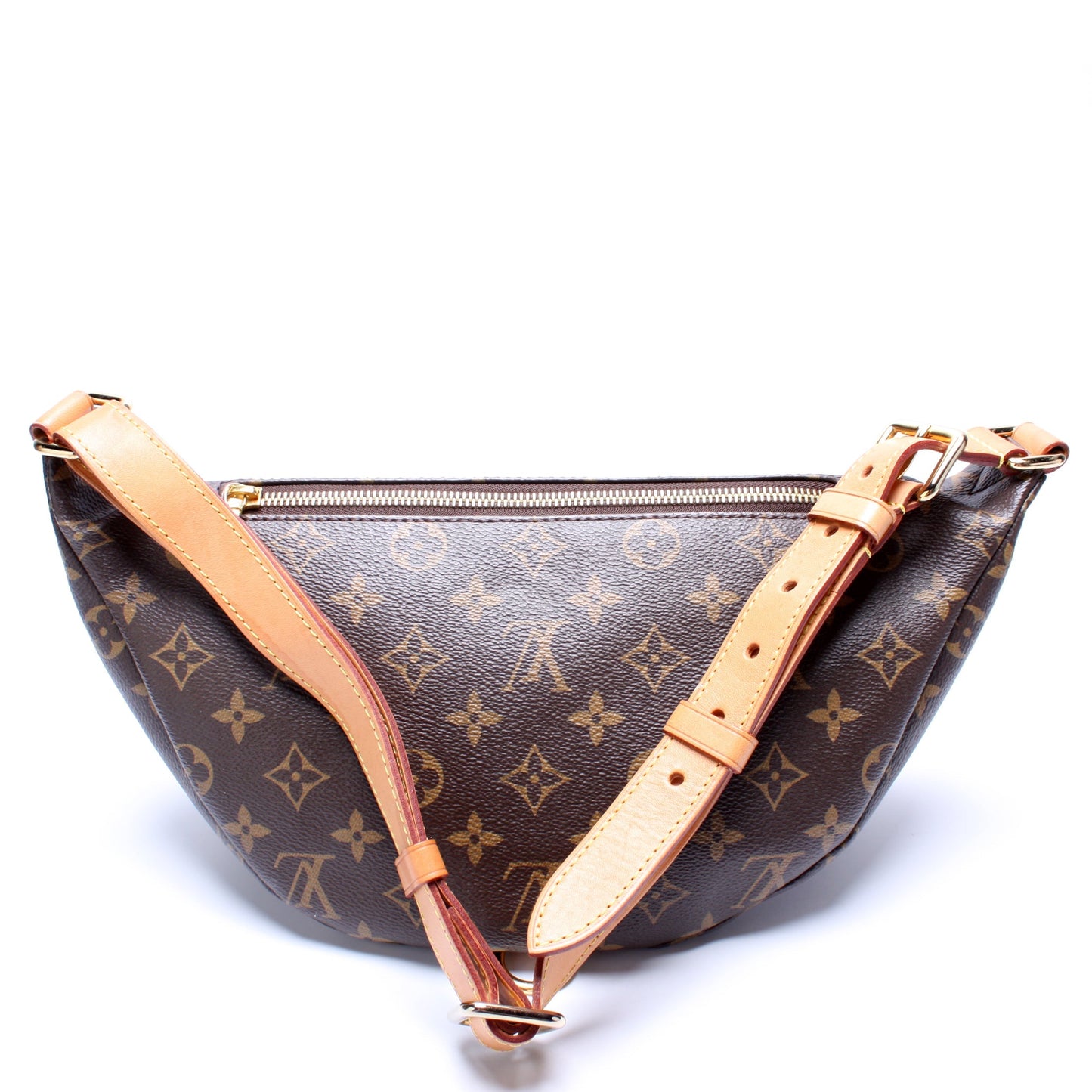Louis Vuitton Bumbag Monogram
