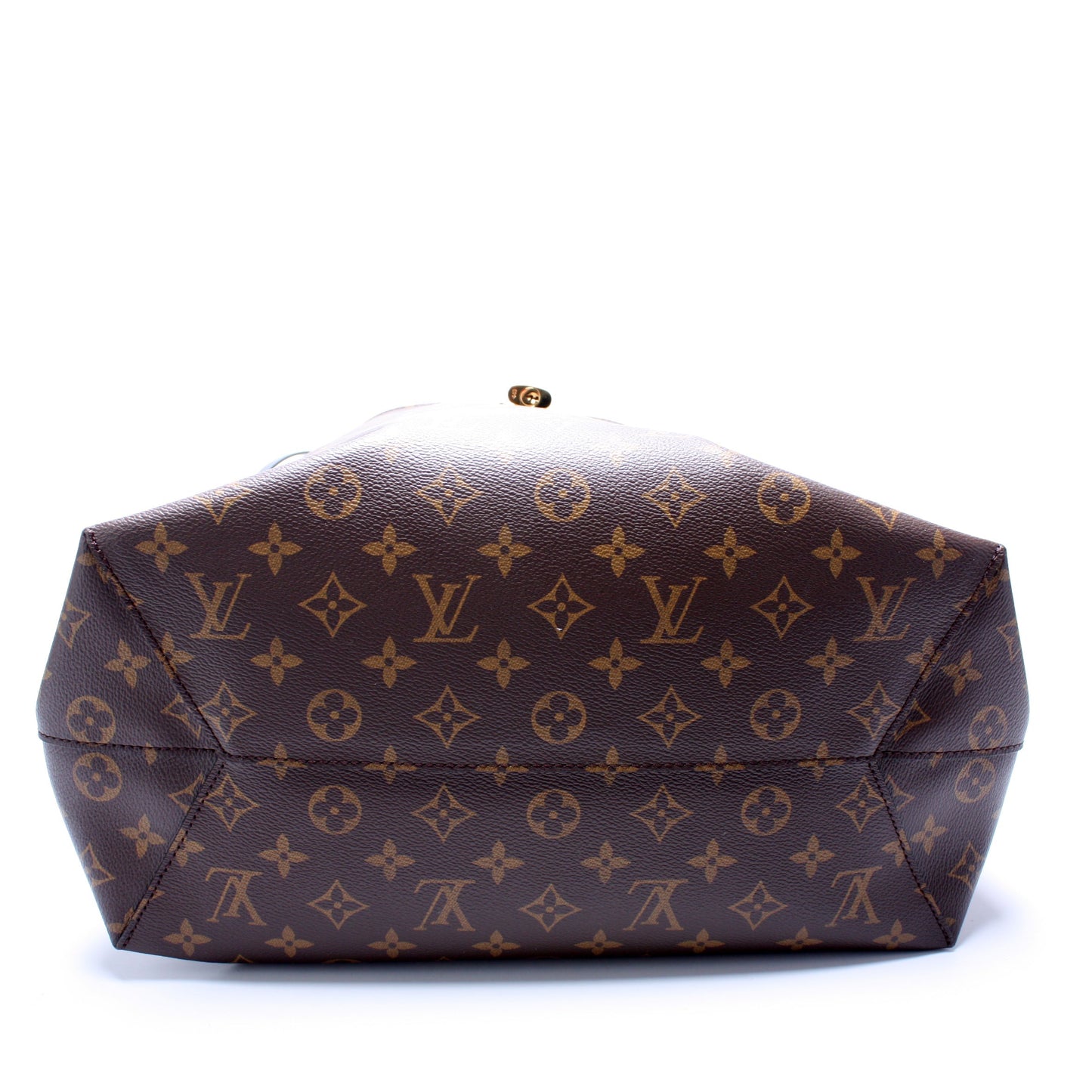 Louis Vuitton Flower Hobo Monogram