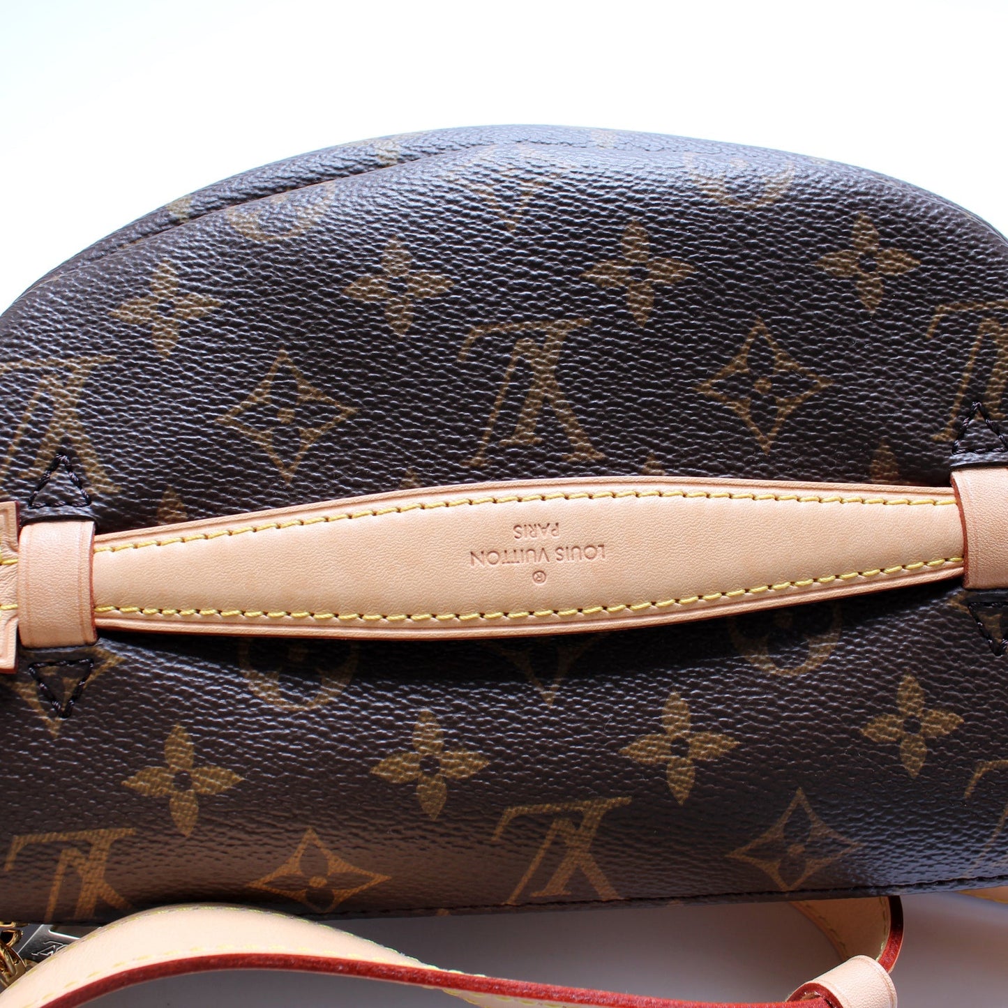 Louis Vuitton Bumbag Monogram