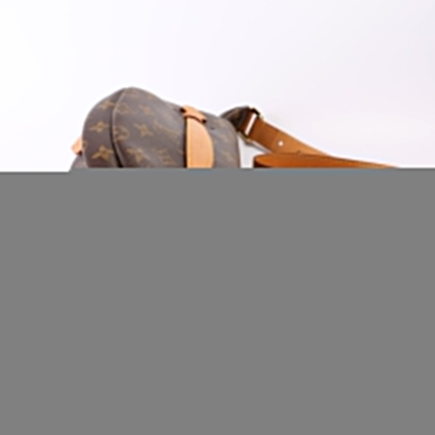 Louis Vuitton Bumbag Monogram