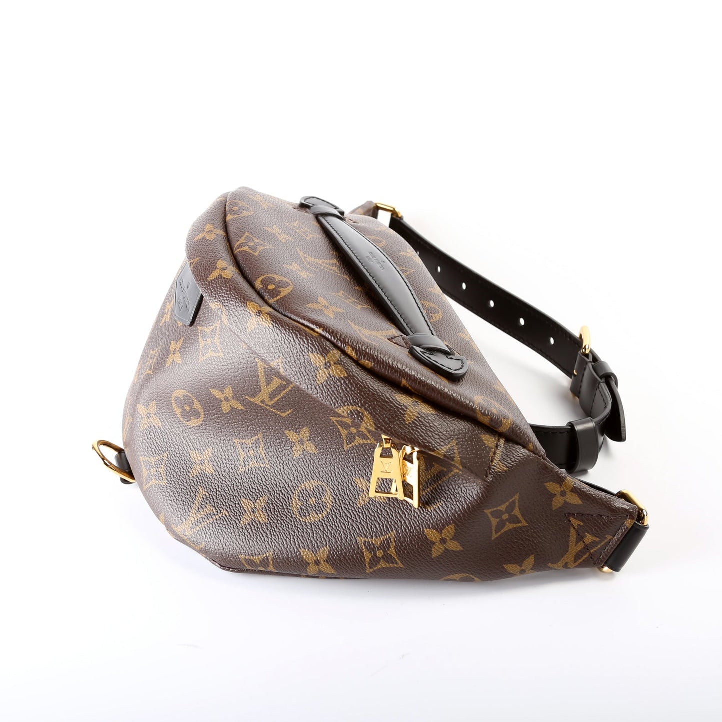 Louis Vuitton Bumbag Monogram World Tour