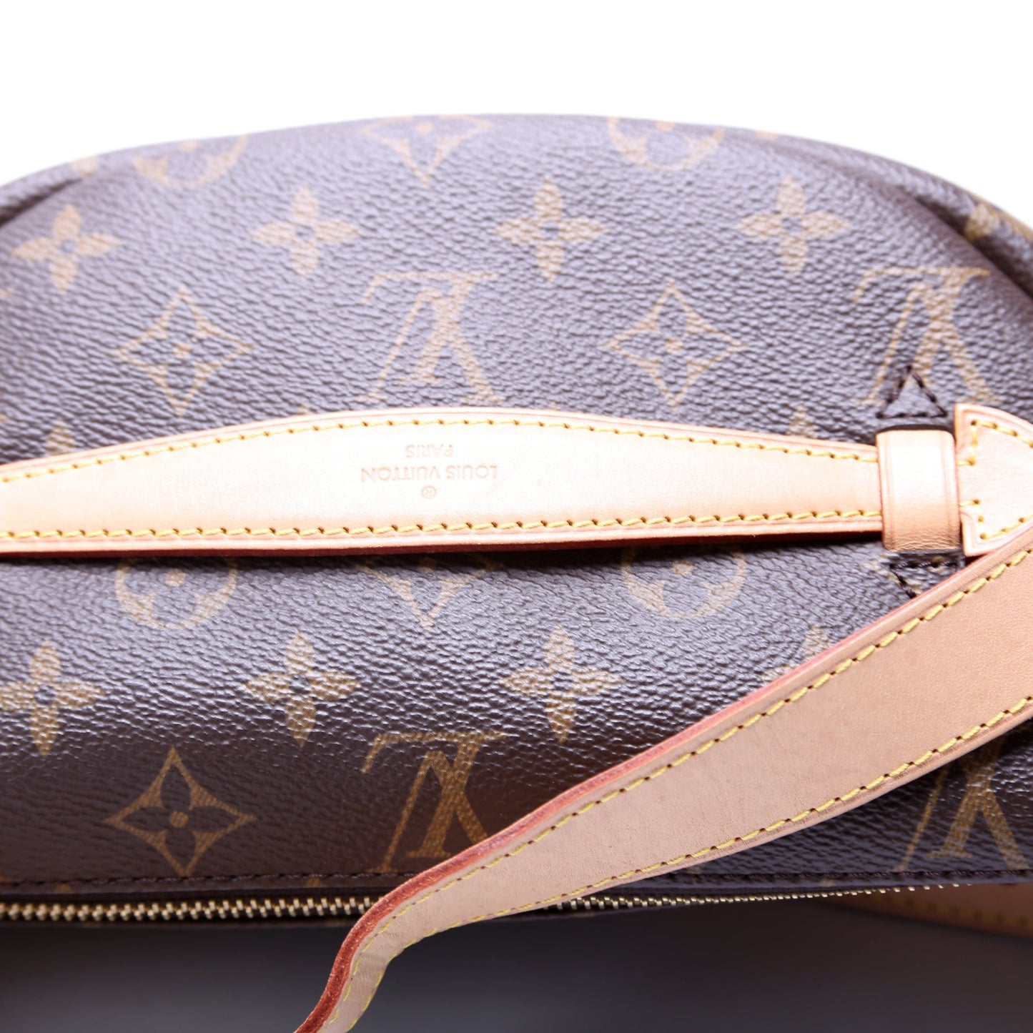 Louis Vuitton Bumbag Monogram