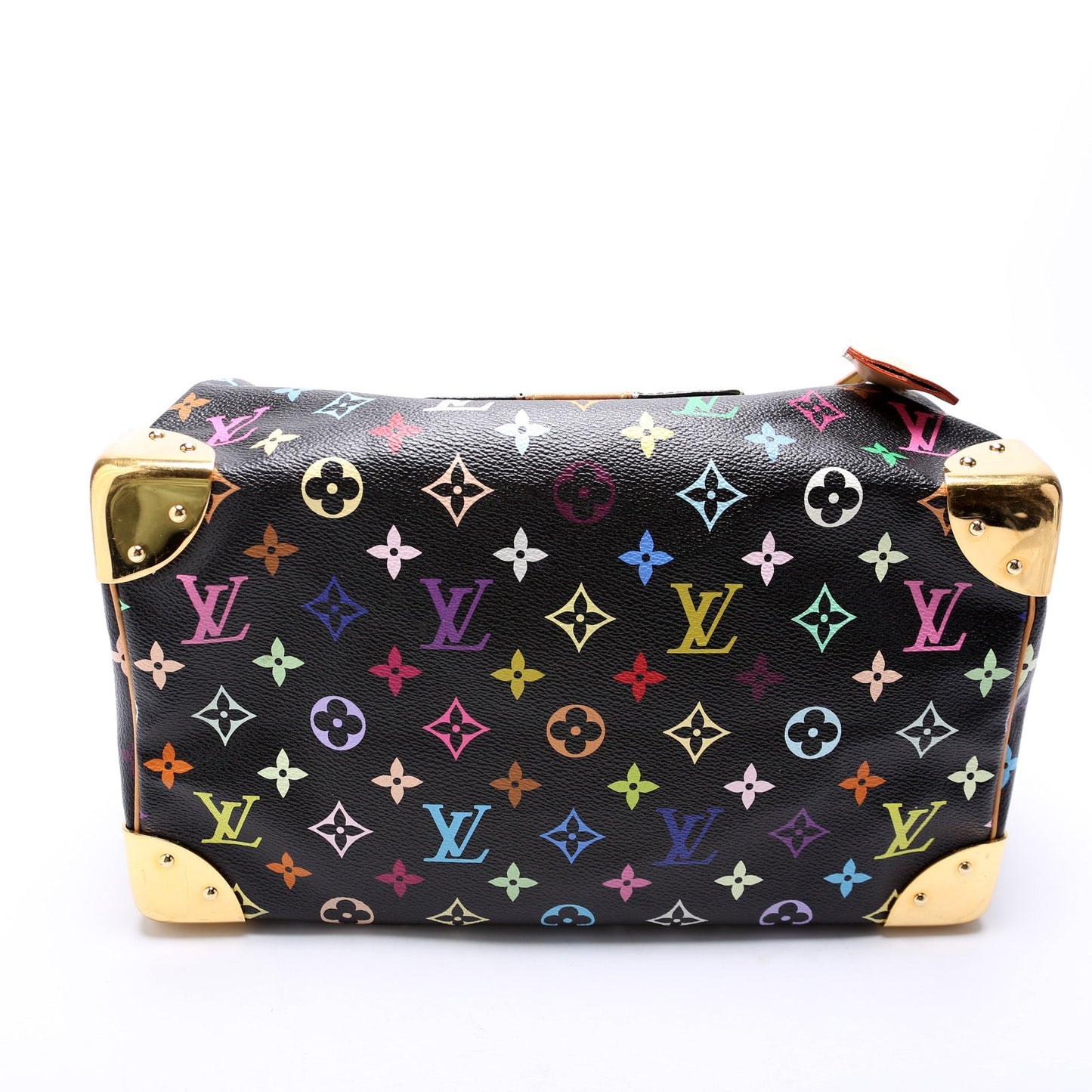 Louis Vuitton Speedy 30 Multicolor