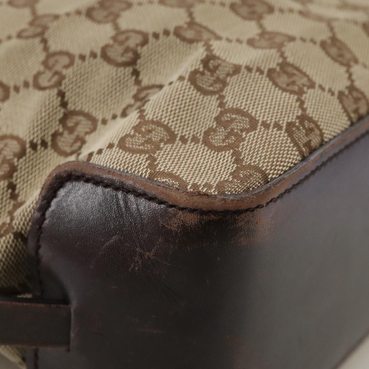 Gucci GG canvas
