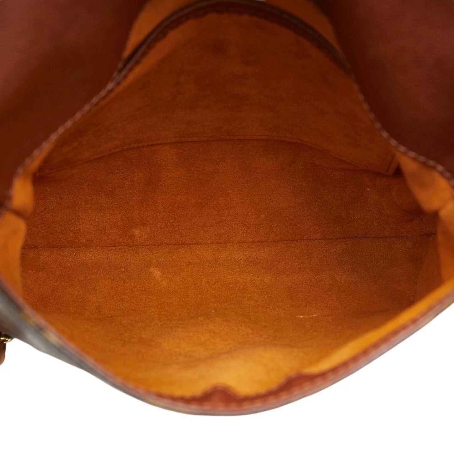 Louis Vuitton Pvc Leather Shoulder Bag
