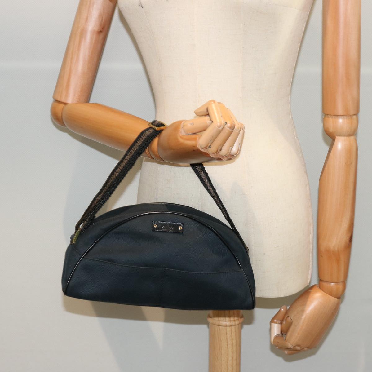 Gucci GG canvas