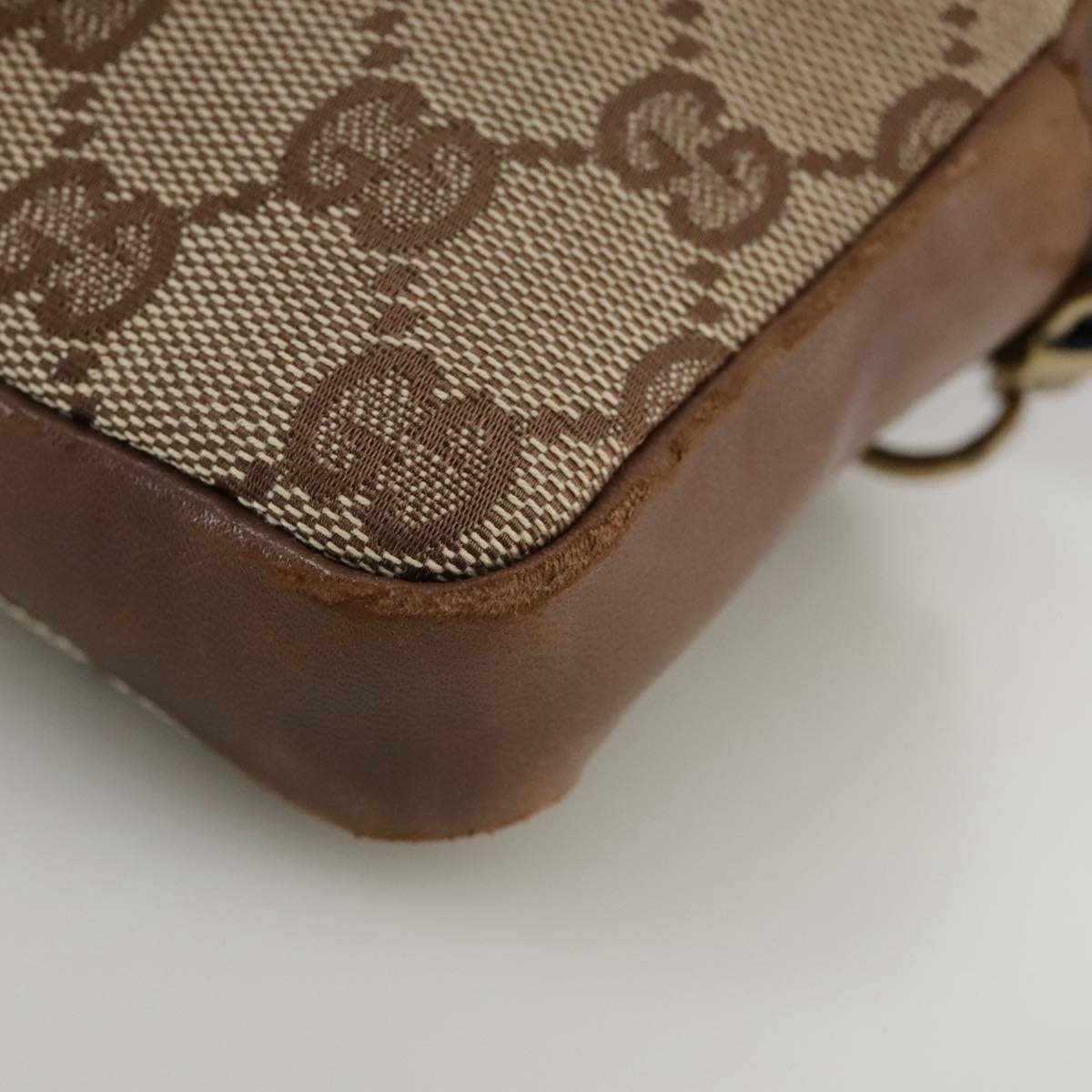 Gucci GG canvas