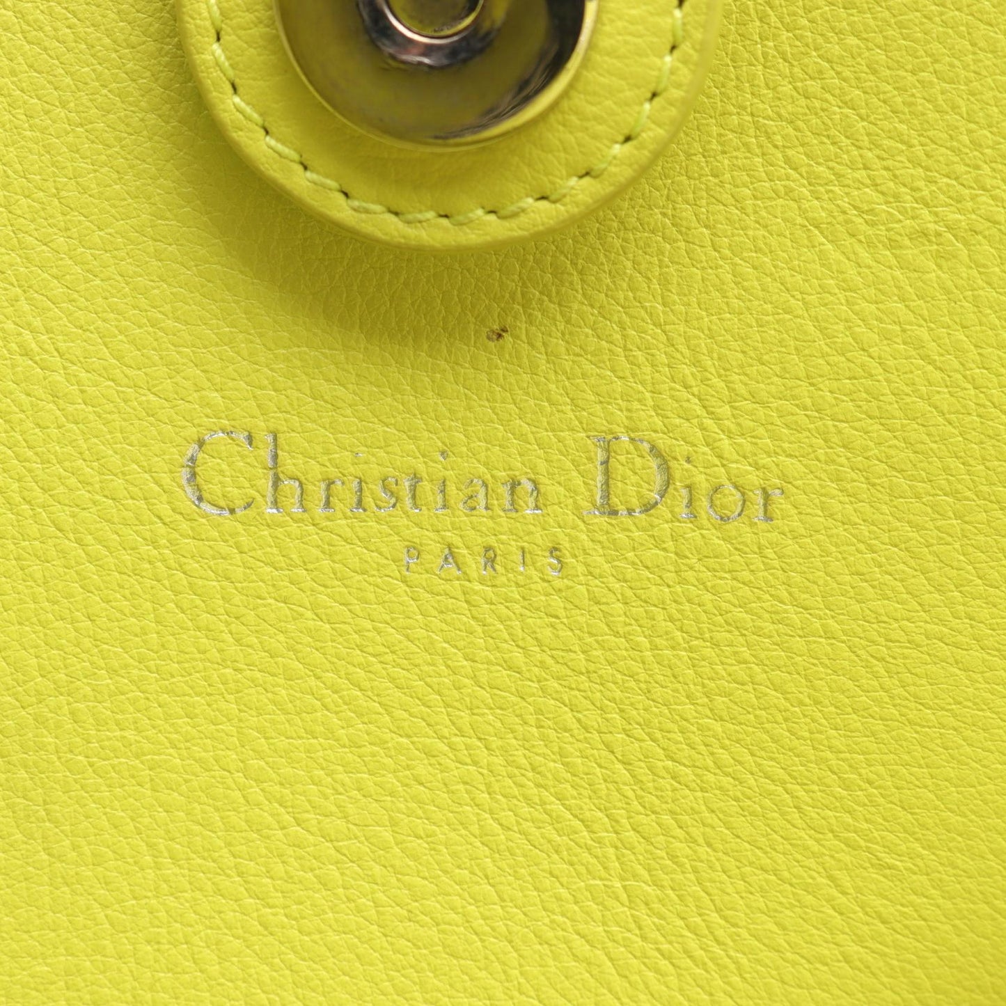Dior Addict Leather Exotic Leather Tote Bag