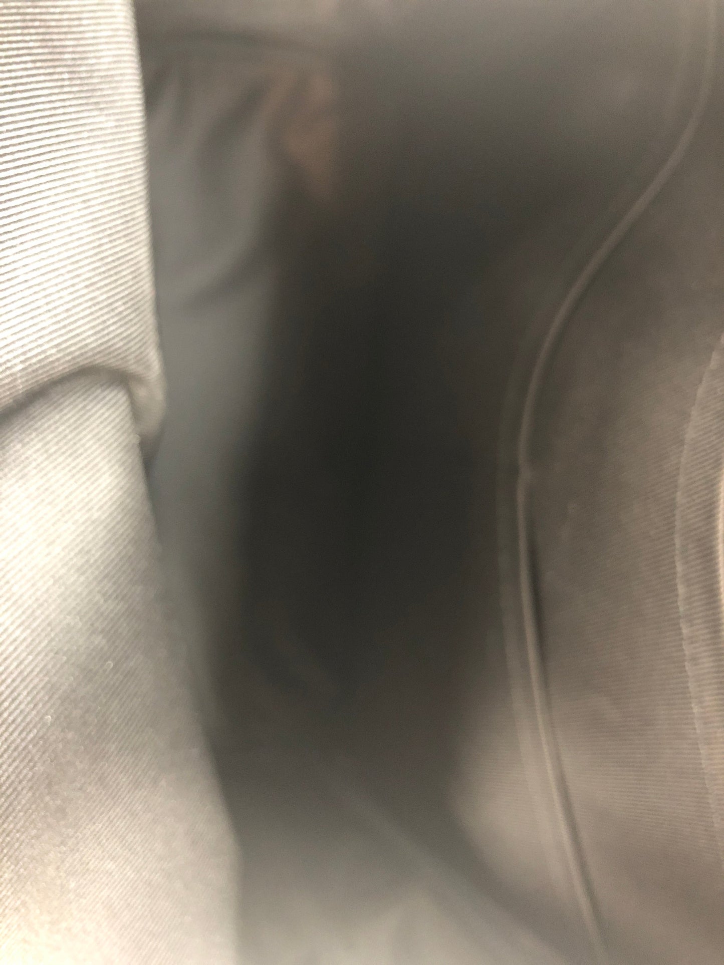 Backpack Designer By Louis Vuitton Size: Large