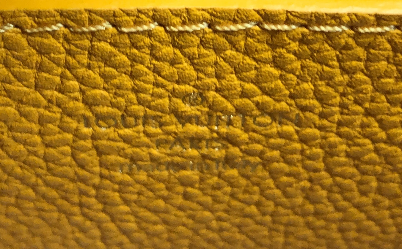 Louis Vuitton LV Pont 9 Soft Bag Leather PM