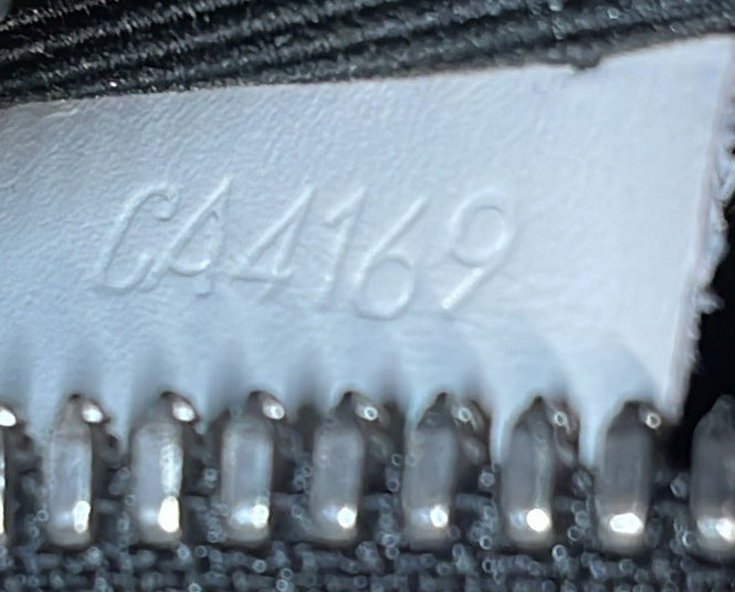 Louis Vuitton Campus Bumbag Damier Infini Leather