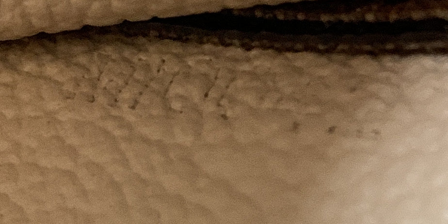 Louis Vuitton Sac Plat Bag Monogram Canvas