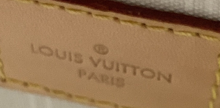 Louis Vuitton Bandouliere Bag By The Pool Monogram Giant 25