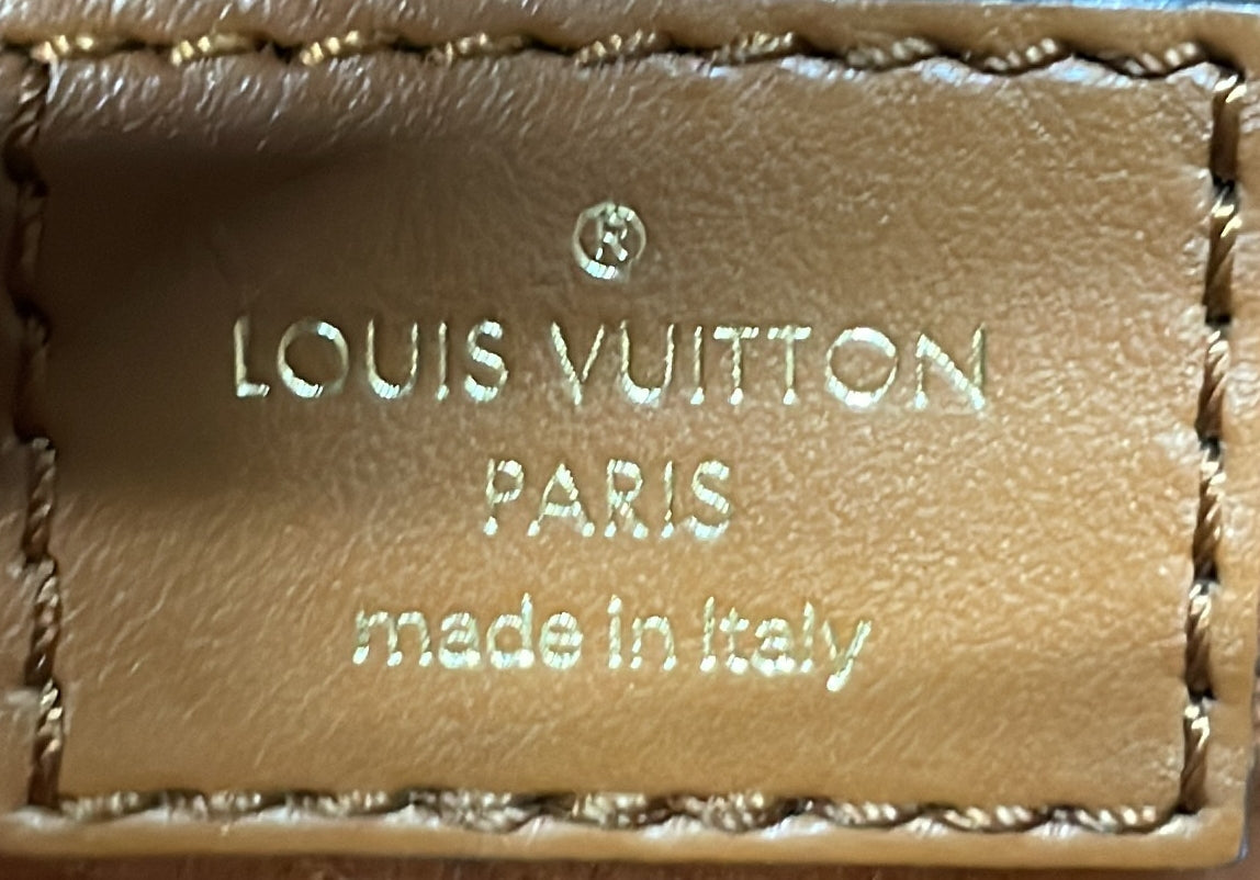 Louis Vuitton Petit Bucket NM Bag Raffia with Leather