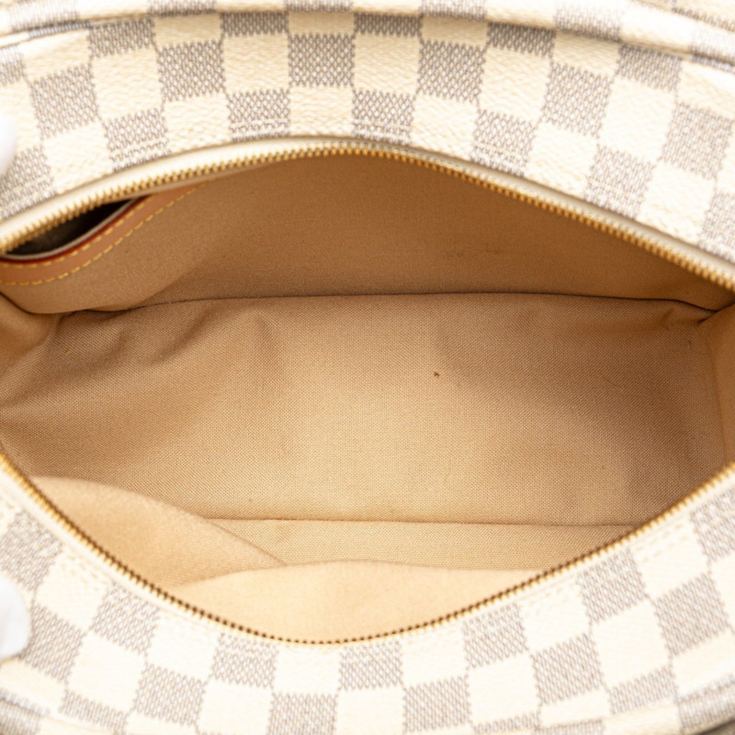 Louis Vuitton Pvc Leather Shoulder Bag