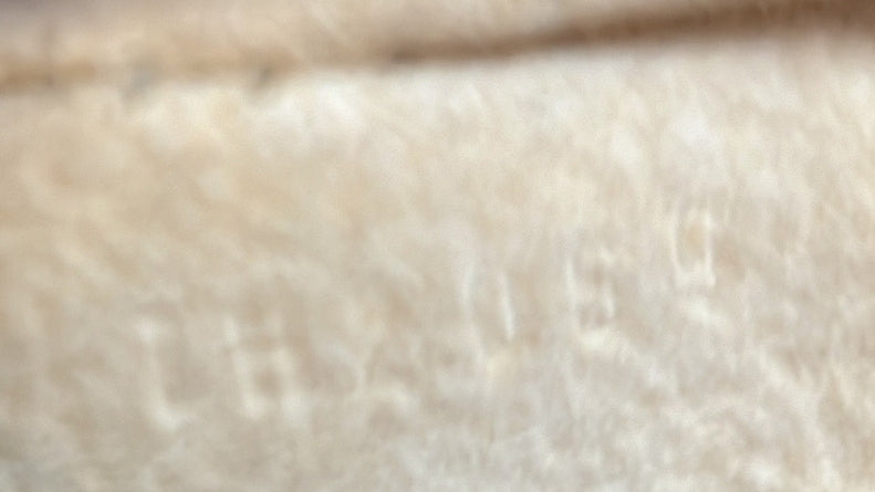 Louis Vuitton City Handbag Monogram Etoile GM