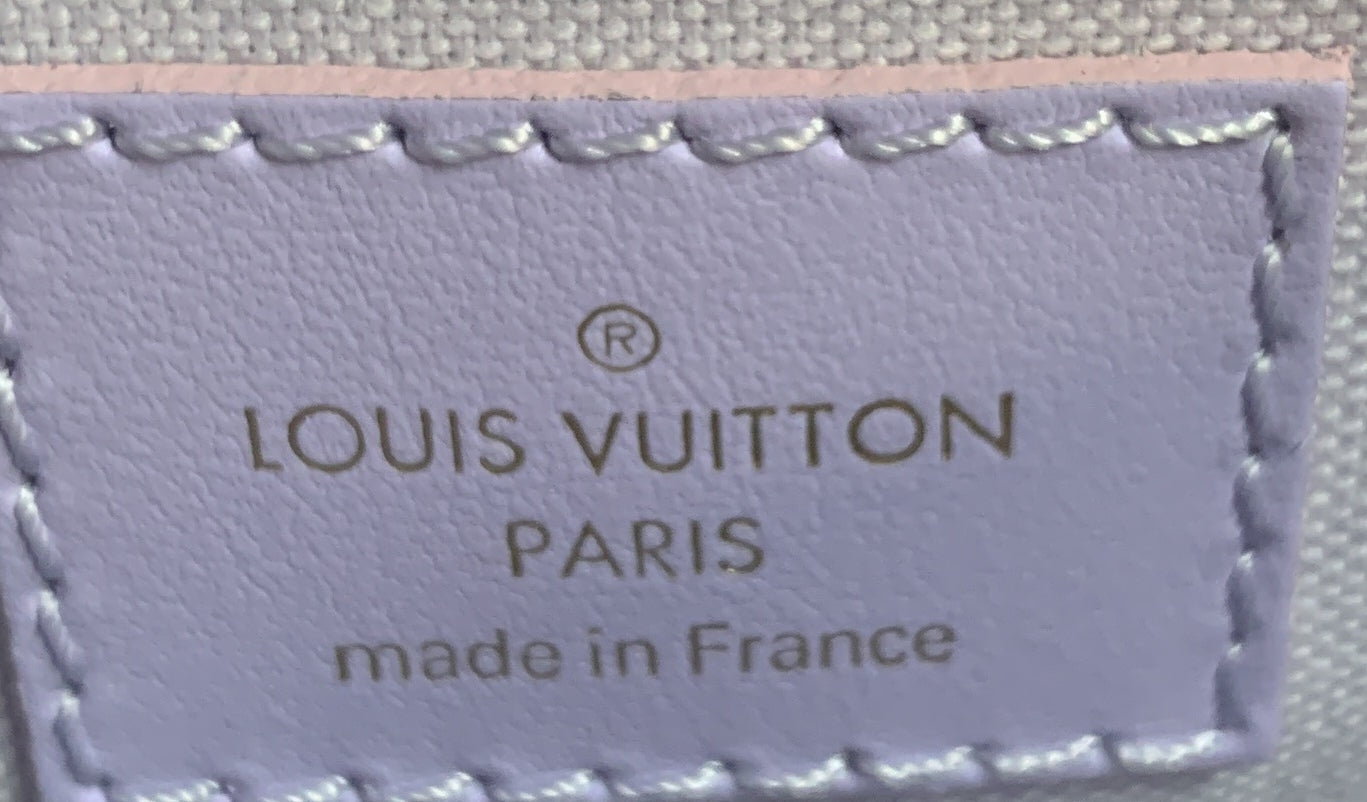 Louis Vuitton Marshmallow Bag Spring in the City Monogram Giant Canvas