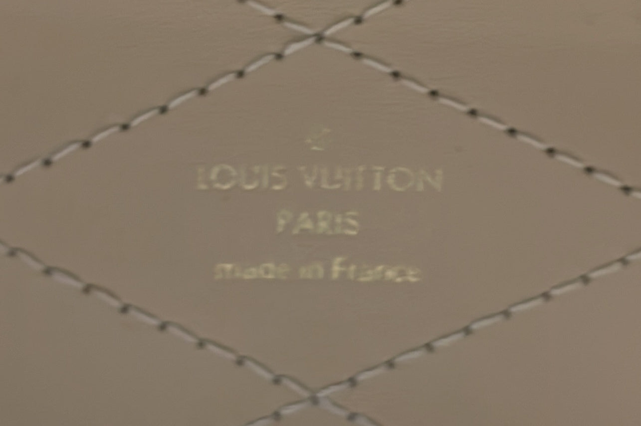 Louis Vuitton Camera Box Trunk Bag Monogram Canvas