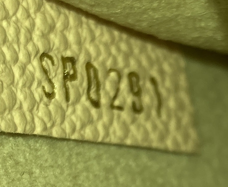 Louis Vuitton Petit Sac Plat Bag By The Pool Monogram Empreinte Giant