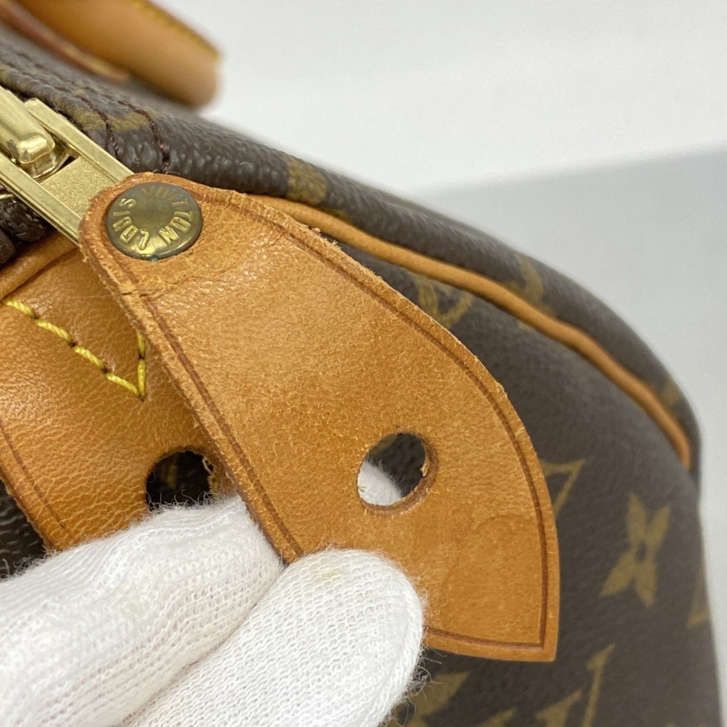 Louis Vuitton Handbag