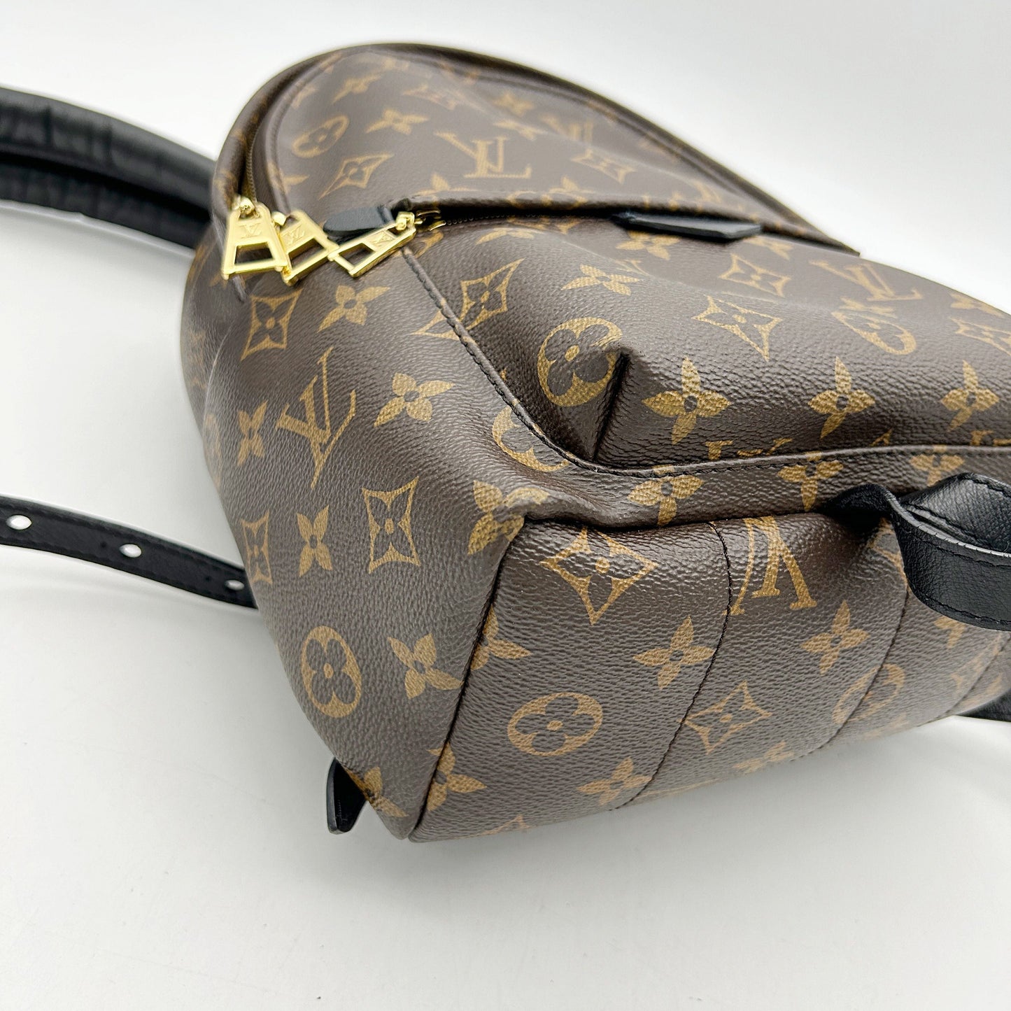 LOUIS VUITTON Monogram Palm Springs Backpack LA26501