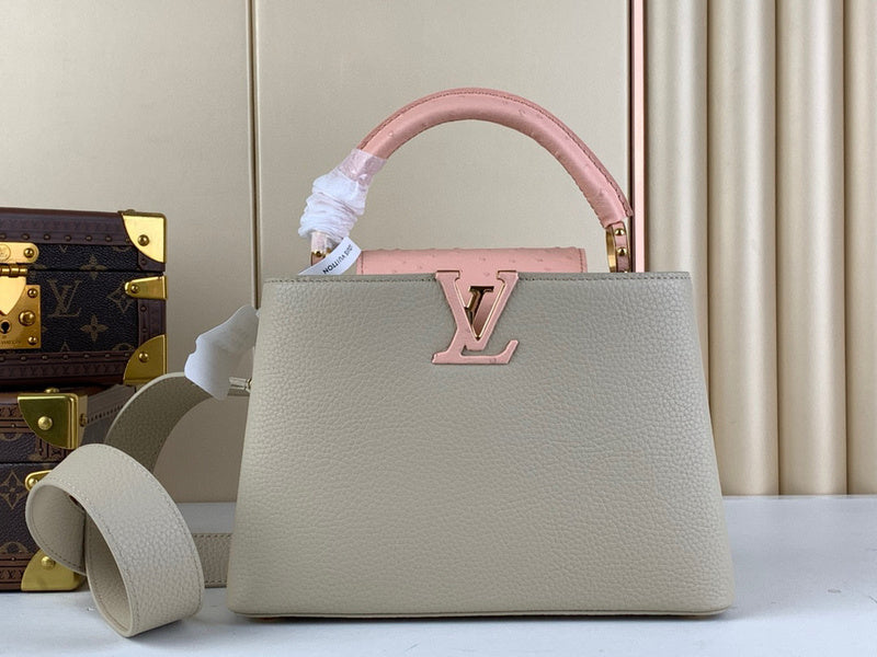 Louis Vuitton Bags